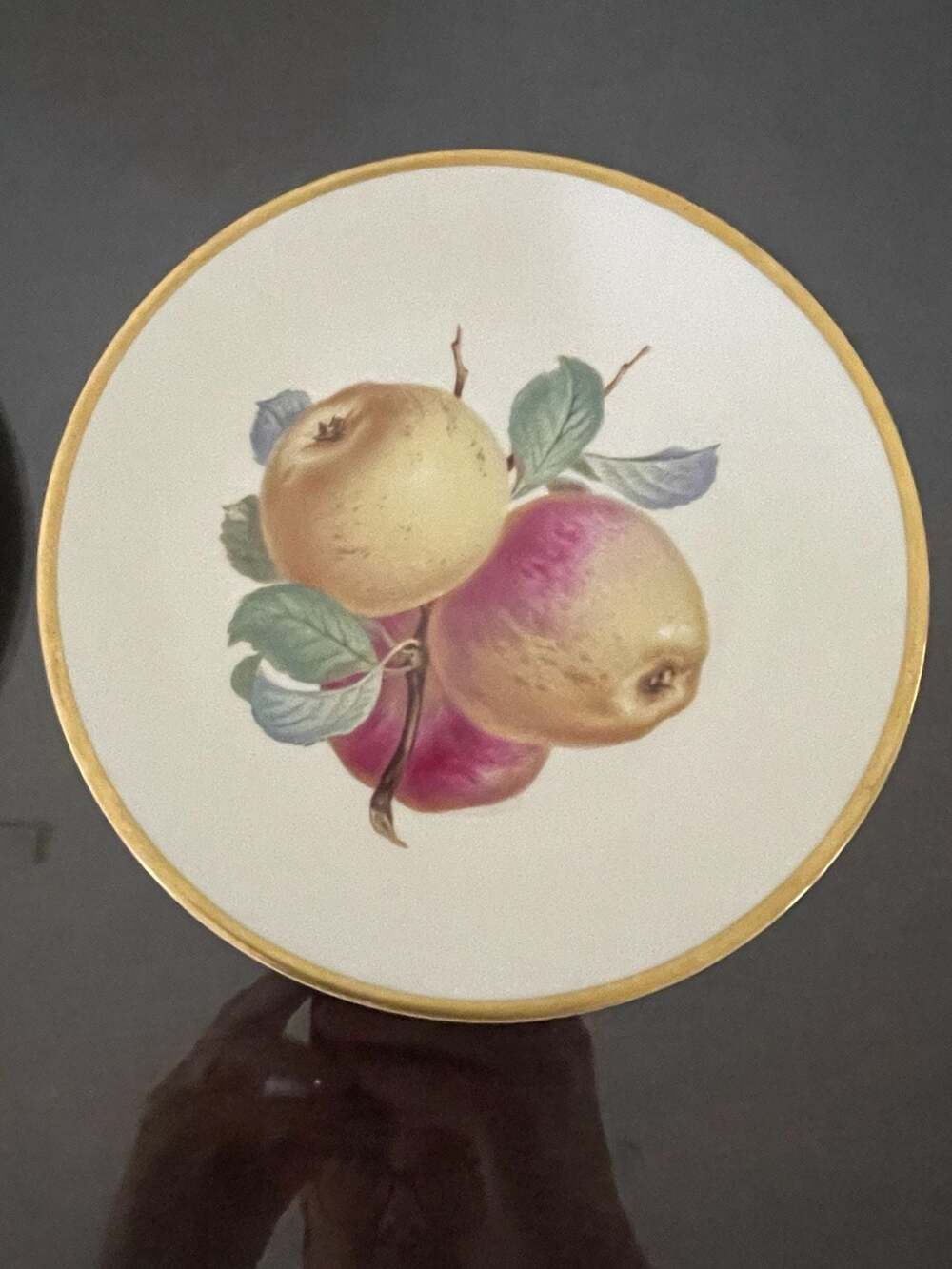 Vintage Rosenthal Germany AIDA Fruit Study Plates Gold Rim- Set of 2 - Picture 2 of 5